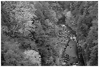 Quechee Gorge in autumn. Vermont, New England, USA ( black and white)
