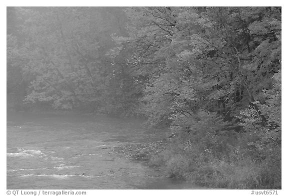 Misty river with trees in fall foliage. Vermont, New England, USA