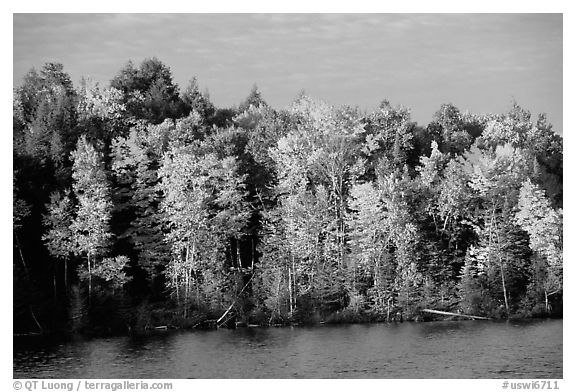 Trees in fall colors bordering a lake. Wisconsin, USA