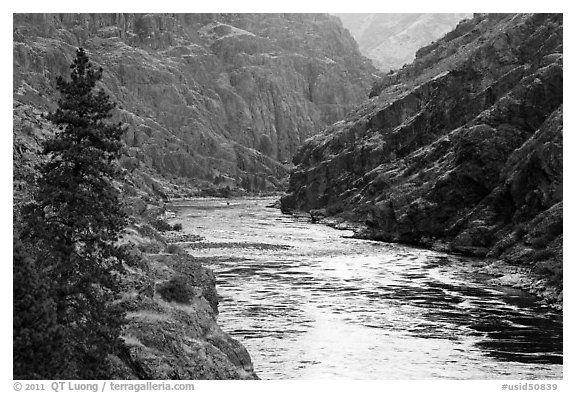 Wild portion of Snake River. Hells Canyon National Recreation Area, Idaho and Oregon, USA (black and white)