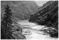 Wild portion of Snake River. Hells Canyon National Recreation Area, Idaho and Oregon, USA (black and white)