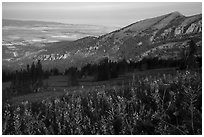 Wildflowers on mountains and fields on Idaho plain. Jedediah Smith Wilderness,  Caribou-Targhee National Forest, Idaho, USA ( black and white)