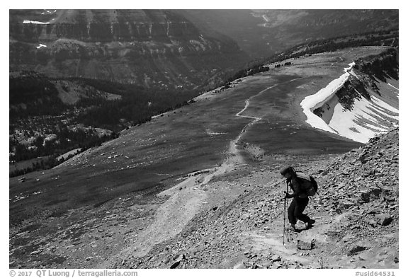 Hiker descending Table Mountain Trail. Jedediah Smith Wilderness,  Caribou-Targhee National Forest, Idaho, USA (black and white)