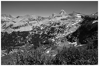 Lupine, Table Mountain ridge, and Tetons peeking. Jedediah Smith Wilderness,  Caribou-Targhee National Forest, Idaho, USA ( black and white)