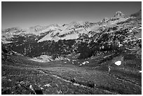 Hikers on Huckleberry Trail. Jedediah Smith Wilderness,  Caribou-Targhee National Forest, Idaho, USA ( black and white)