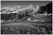 Wildflowers, Table Mountain ridge, and Tetons peeking. Jedediah Smith Wilderness,  Caribou-Targhee National Forest, Idaho, USA ( black and white)