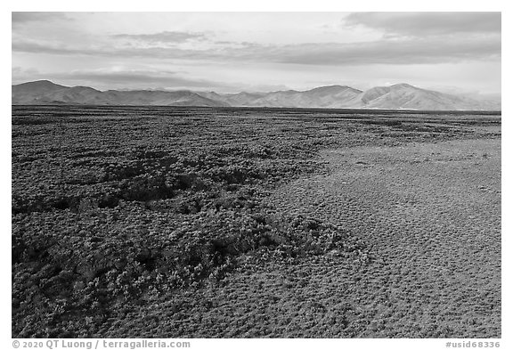 Aerial view of lava flow at edge of Little Park kipuka. Craters of the Moon National Monument and Preserve, Idaho, USA