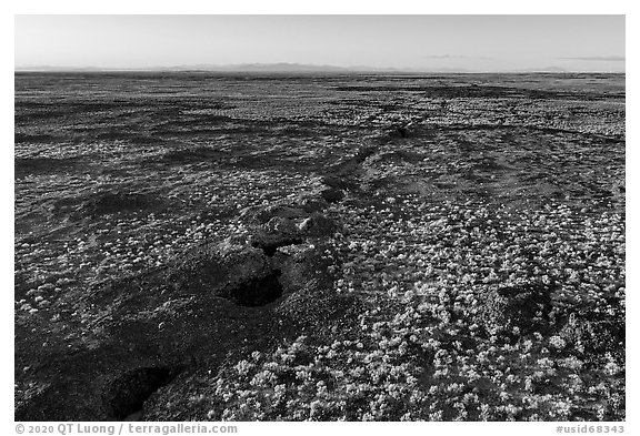 Aerial view of Great Rift volcanic fissure. Craters of the Moon National Monument and Preserve, Idaho, USA (black and white)