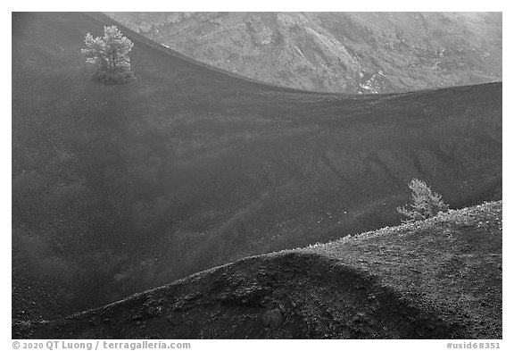 Curves in Big Craters cinder cones and Limber Pines. Craters of the Moon National Monument and Preserve, Idaho, USA (black and white)