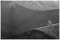 Curves in Big Craters cinder cones and Limber Pines. Craters of the Moon National Monument and Preserve, Idaho, USA ( black and white)