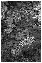 Close-up of red and purple lava rocks with lichens. Craters of the Moon National Monument and Preserve, Idaho, USA ( black and white)