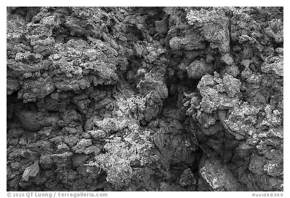 Close-up of lava with rich colors, augmented by green and orange lichen. Craters of the Moon National Monument and Preserve, Idaho, USA (black and white)