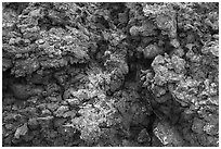 Close-up of lava with rich colors, augmented by green and orange lichen. Craters of the Moon National Monument and Preserve, Idaho, USA ( black and white)