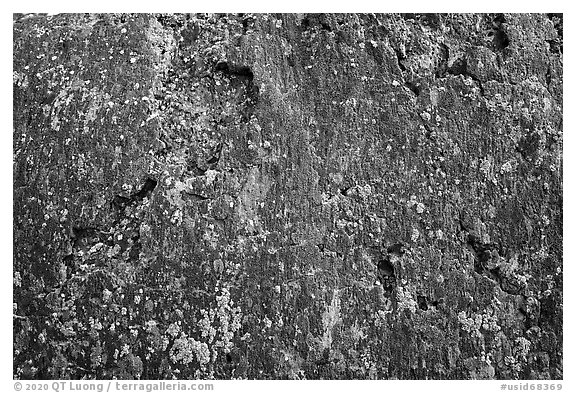 Close-up of lava and lichen. Craters of the Moon National Monument and Preserve, Idaho, USA (black and white)