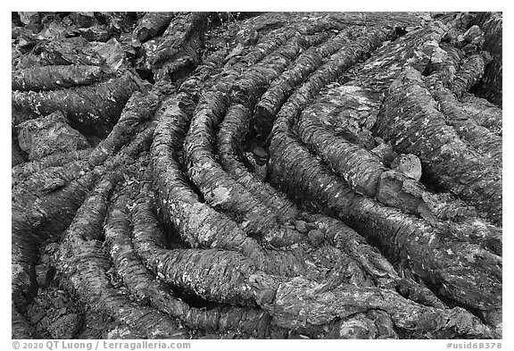 Close-up of Pahoehoe lava. Craters of the Moon National Monument and Preserve, Idaho, USA (black and white)
