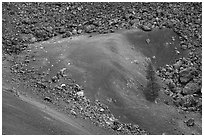 Pine tree, cinders and lava. Craters of the Moon National Monument and Preserve, Idaho, USA ( black and white)