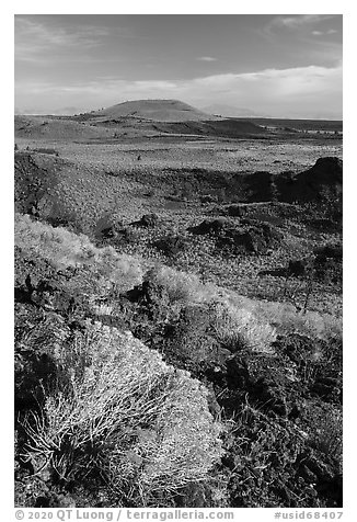 Sagebrush in bloom and Crescent Butte from Echo Crater. Craters of the Moon National Monument and Preserve, Idaho, USA (black and white)
