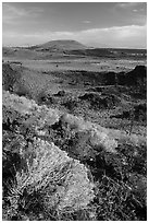 Sagebrush in bloom and Crescent Butte from Echo Crater. Craters of the Moon National Monument and Preserve, Idaho, USA ( black and white)
