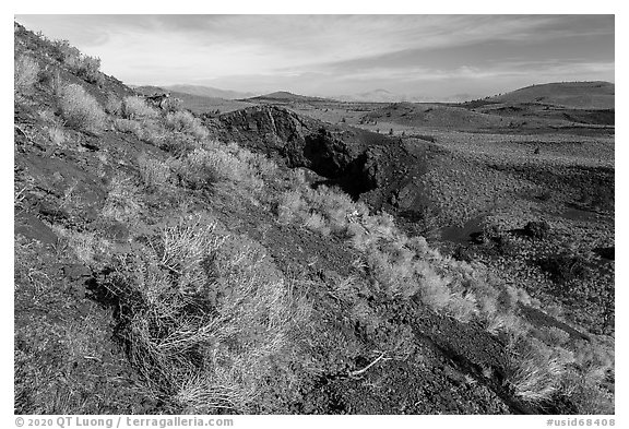 Sagebrush in bloom on Echo Crater. Craters of the Moon National Monument and Preserve, Idaho, USA (black and white)