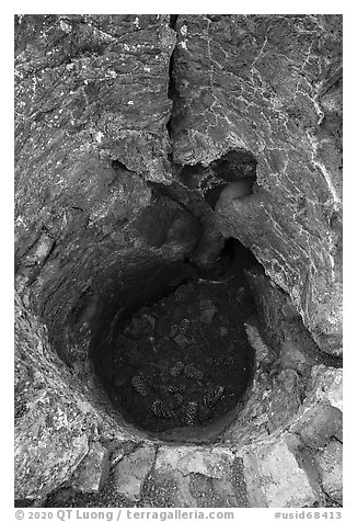 Hole left in lava rock by tree. Craters of the Moon National Monument and Preserve, Idaho, USA (black and white)