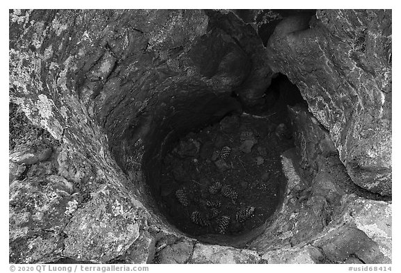 Trunk-shaped depression in lava. Craters of the Moon National Monument and Preserve, Idaho, USA