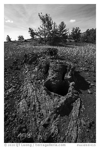 Lava tree. Craters of the Moon National Monument and Preserve, Idaho, USA (black and white)