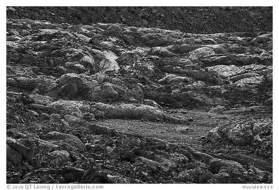 Lava cascades. Craters of the Moon National Monument and Preserve, Idaho, USA (black and white)