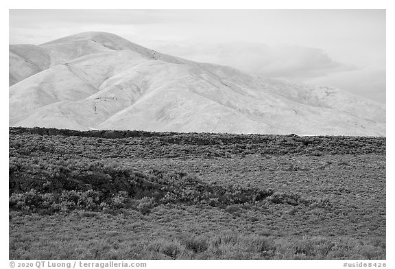 Little Park kipuka edge and Pioneer Mountains. Craters of the Moon National Monument and Preserve, Idaho, USA (black and white)