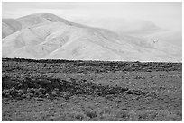 Little Park kipuka edge and Pioneer Mountains. Craters of the Moon National Monument and Preserve, Idaho, USA ( black and white)