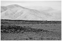 Little Park kipuka edge and Pioneer Mountains. Craters of the Moon National Monument and Preserve, Idaho, USA ( black and white)