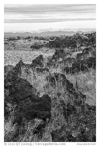 Grassy lava flow at Lava Point. Craters of the Moon National Monument and Preserve, Idaho, USA