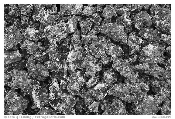 Close up of lava rocks with lichen. Craters of the Moon National Monument and Preserve, Idaho, USA