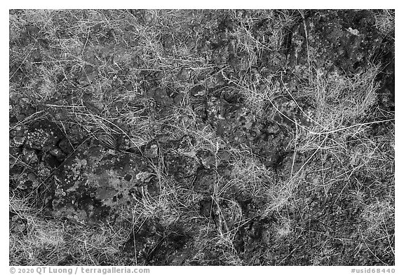 Close up of lava rocks with grasses. Craters of the Moon National Monument and Preserve, Idaho, USA