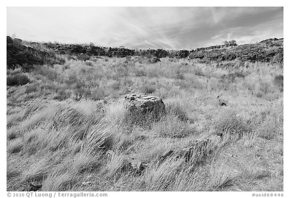 Stone from former cabin in depression surrounded by lava walls. Craters of the Moon National Monument and Preserve, Idaho, USA (black and white)
