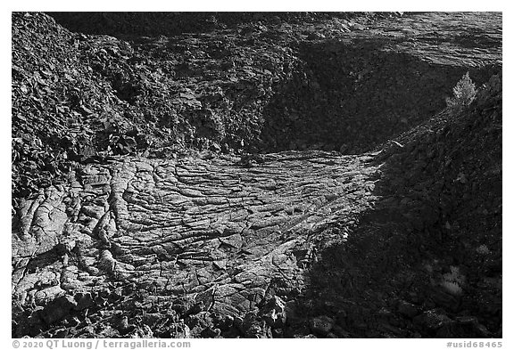 Former lava lake and tree, Pilar Butte. Craters of the Moon National Monument and Preserve, Idaho, USA (black and white)