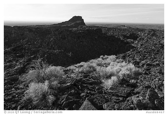 Rabbitbrush and crater, Pilar Butte. Craters of the Moon National Monument and Preserve, Idaho, USA (black and white)