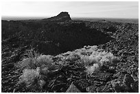 Rabbitbrush and crater, Pilar Butte. Craters of the Moon National Monument and Preserve, Idaho, USA ( black and white)