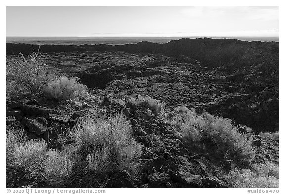 Rabbitbrush and former lava lake in crater, Pilar Butte. Craters of the Moon National Monument and Preserve, Idaho, USA