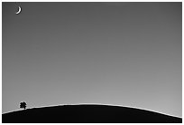 Pine on cinder cone and crescent moon, Craters of the Moon National Monument. Idaho, USA (black and white)