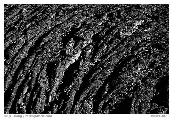 Close up of Hardened Lava. Craters of the Moon National Monument and Preserve, Idaho, USA (black and white)