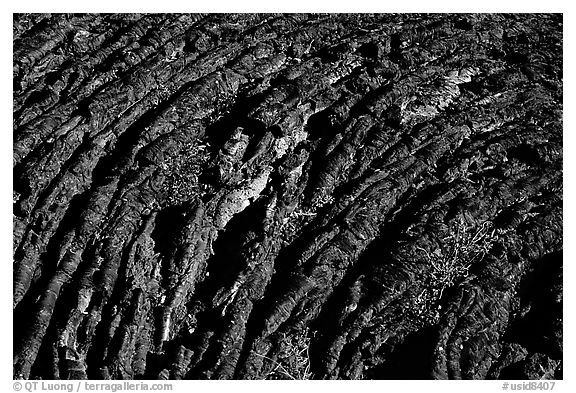 Hardened Lava, Craters of the Moon National Monument. Idaho, USA