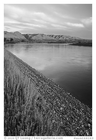 River shore at sunrise, Wood Bottom. Upper Missouri River Breaks National Monument, Montana, USA (black and white)