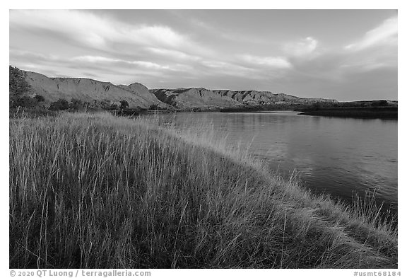 Tall grasses and cliffs at sunrise, Wood Bottom. Upper Missouri River Breaks National Monument, Montana, USA (black and white)