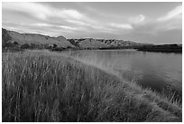 Tall grasses and cliffs at sunrise, Wood Bottom. Upper Missouri River Breaks National Monument, Montana, USA ( black and white)