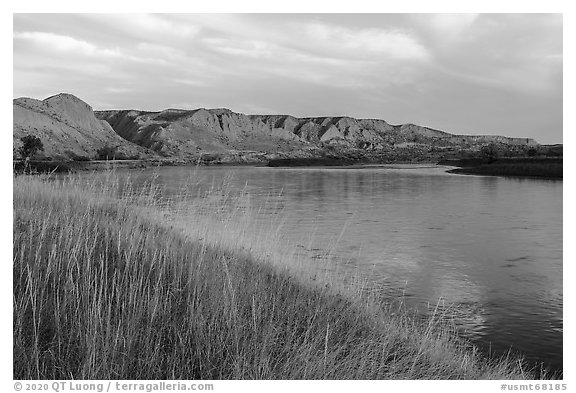 Grasses and bluffs at sunrise, Wood Bottom. Upper Missouri River Breaks National Monument, Montana, USA (black and white)