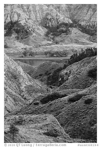 Rugged badlands and cottonwoods along river. Upper Missouri River Breaks National Monument, Montana, USA (black and white)
