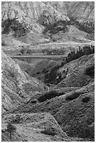 Rugged badlands and cottonwoods along river. Upper Missouri River Breaks National Monument, Montana, USA ( black and white)