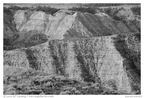 Badlands. Upper Missouri River Breaks National Monument, Montana, USA (black and white)