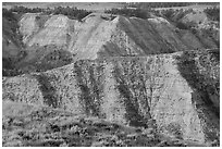 Badlands. Upper Missouri River Breaks National Monument, Montana, USA ( black and white)