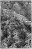 Hills and badlands. Upper Missouri River Breaks National Monument, Montana, USA ( black and white)
